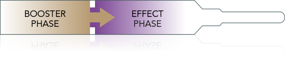 Stop & Grow effect: Booster- und effect phase